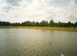 Dredge Water in Basin